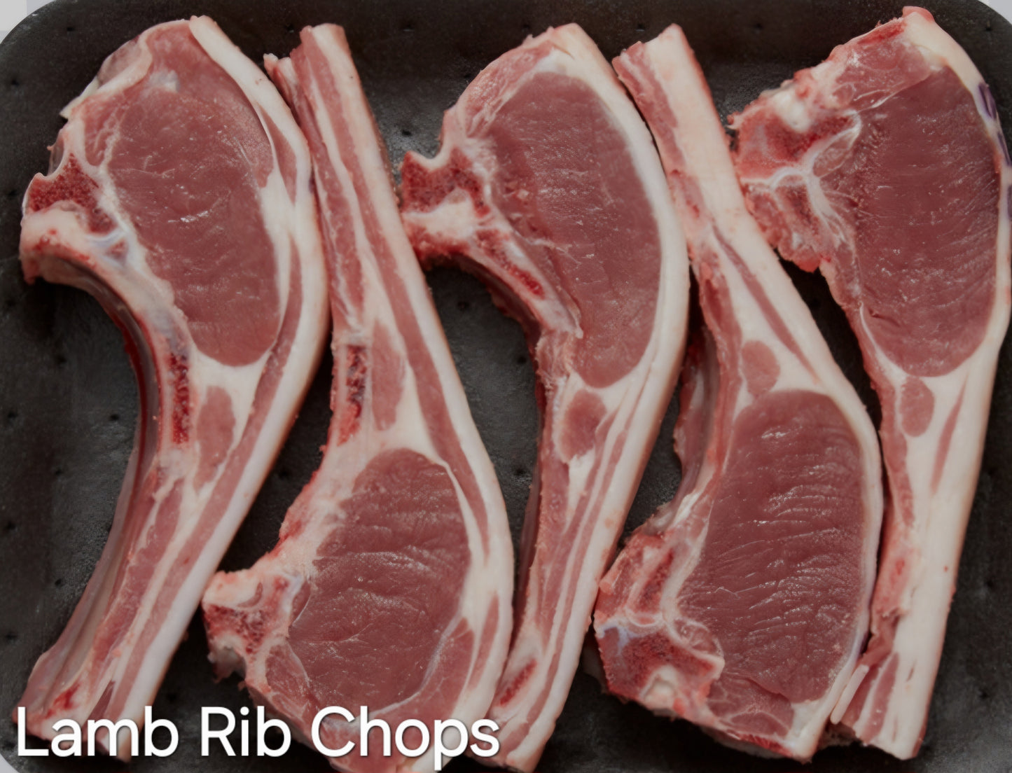 SHEEP RIB CHOPS (1 X 1kg)