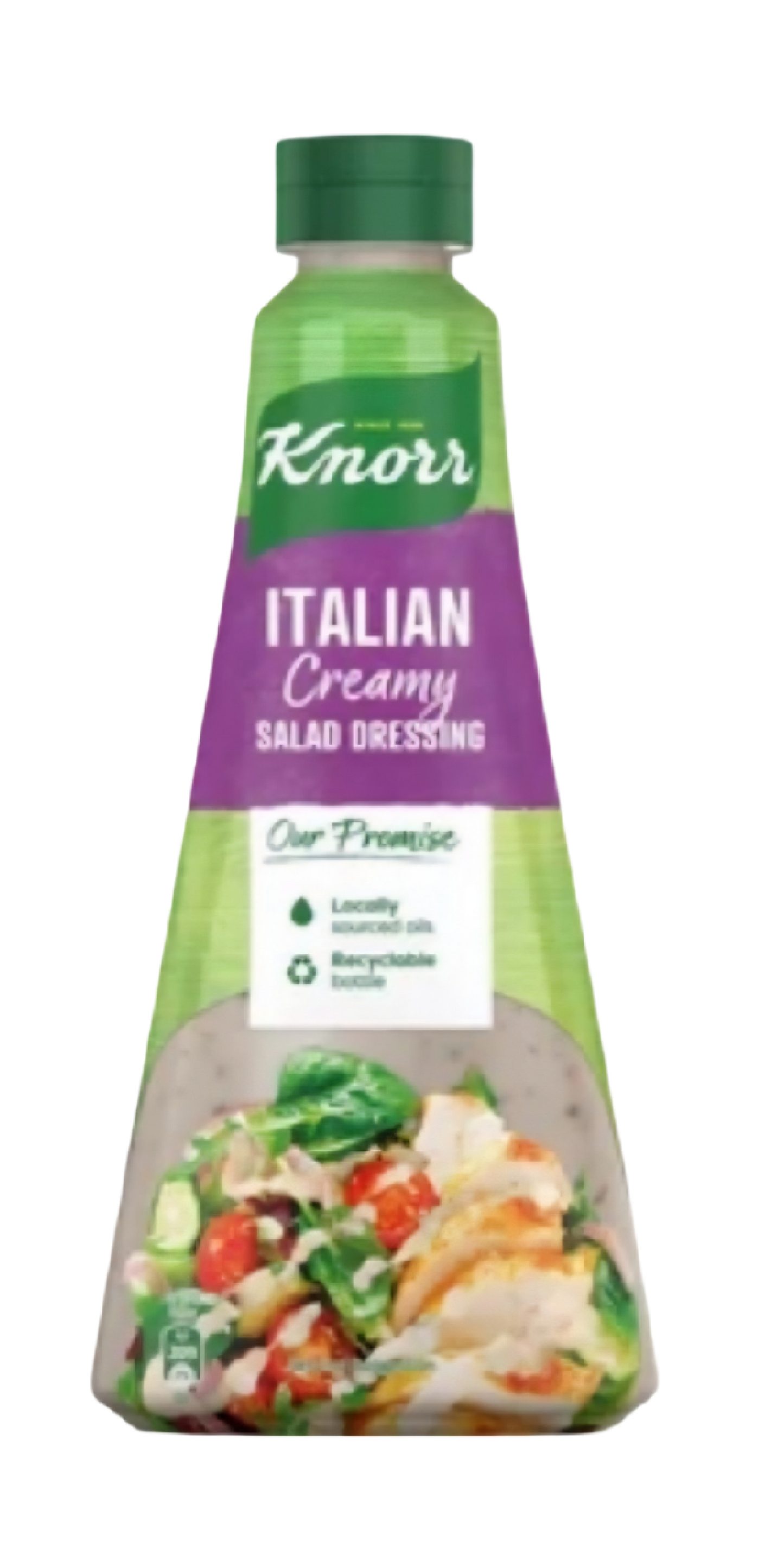 KNORR SALAD DRESSING ITALIAN